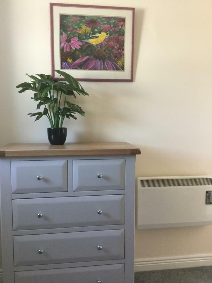 Rose Alley Apartment Westport Extérieur photo